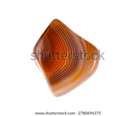 close up on Botswana agate isolated on white background