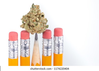 Close Up On A Bud Of Marijuana Balanced On The Point Of A School Pencil, In A Display Of Drugs And School Supplies