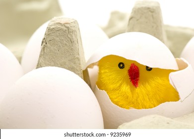 Close up on easter chicken in egg box