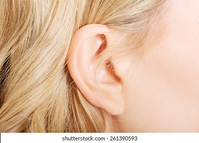 Close Up On Female Ear.