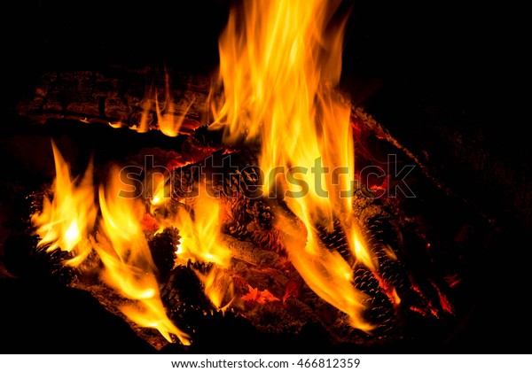Close On Fire Pine Cones Stock Photo Edit Now 466812359