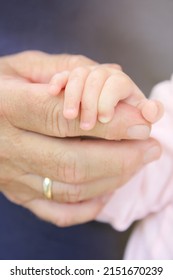 Close Up On The Hand Of A Newborn Baby Girl Holding The Finger Of Her Grandpa Lovingly. 