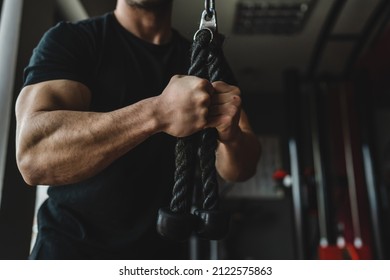 Close up on hands of unknown caucasian man at gym using rope for arms exercise muscular bodybuilder triceps training copy space dark photo - Powered by Shutterstock