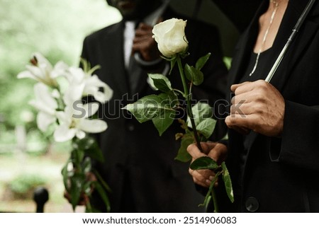 Close up on hands with white rose of unrecognizable senior woman grieving during memorial service at cemetery before placing flowers on grave to commemorate deceased person, copy space