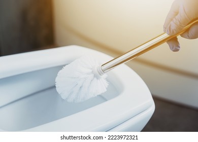 Close Up On Housewife Hands In Gloves Cleaning Toilet Bowl With Scrub Brush In Bathroom Or Public Restroom. Disinfection, Hygiene, Cleaning Service Concept. Female Washing, Disinfecting Toilet Seat.