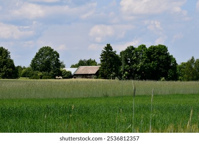 A close up on a hut, shack, or shelter located between orchards, forests, moors, and vast fields or meadows spotted on a cloudy summer day on a Polish countryside during a hike - Powered by Shutterstock