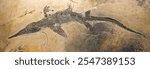 close up on ichthyosaur fossil