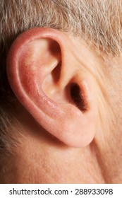 Close Up On Male Ear.