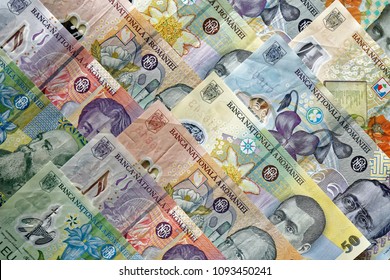 Close Up On Money, Romanian Lei