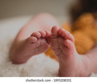 Close Up On Newborn Baby Hands And Fingers In Lion Onesie Costume In Natural Light