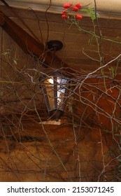 Close Up On Old Light Fixture And Roses