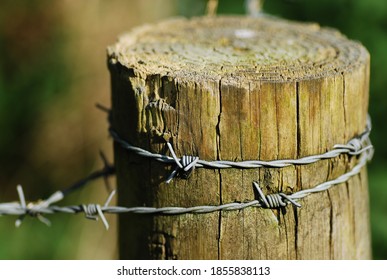 Close Up On On Old And Wore Down Wooden Post  With Barbed Wire