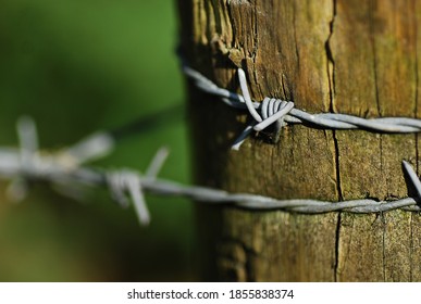 Close Up On On Old And Wore Down Wooden Post  With Barbed Wire