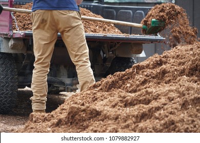 Close Up On Outdoor Worker Working On Adding Mulch In The Garden