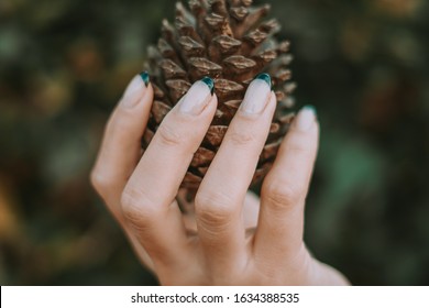 Close Up On A Park With One Hand With Brand New Acrylic French Manicure Holding A Pine Cone