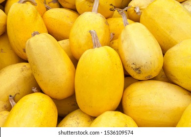 Close Up On Pile Of Spaghetti Squash Freshly Picked From The Field.This Oval Yellow Squash Contains A Surprise: A Stringy Flesh That, When Cooked, Separates Into Mild-tasting, Spaghetti-like Strands.