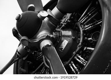 close up on a radial engine and propeller of a bi plane in black and white. The spinner and the counterweights of the propeller are visible, as well as the cylinders