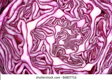 Close Up on Red Cabbage