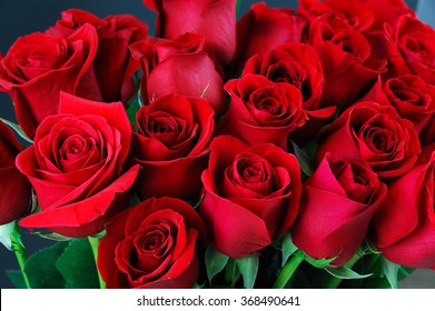 close up on red roses - Powered by Shutterstock