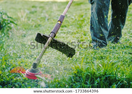 Close up on string trimmer head weed cutter petrol or electric brushcutter working in the yard or field cutting grass in garden in day low angle view Foto d'archivio © 