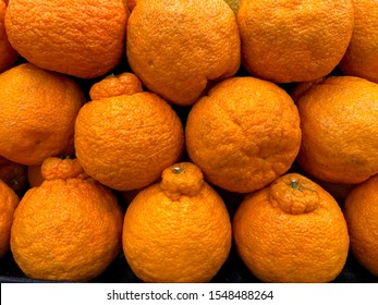 Close Up On Sumo Citrus Oranges, A Cross Breed Between A Satsuma And Mandarin Pomelo Variety. The Juicy, Ultra Sweet Oranges Were Developed In Japan With Traditional Plant Breeding Technique.