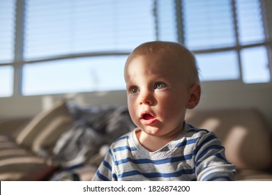 Close Up On A Toddlers Face While Afternoon Sun Shining Through Blinds Creating A Creative And Interesting Light On The Furniture And The Baby. Focused Watching Tv.