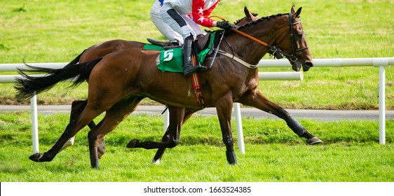 Close Up On Two Race Horses Competing, Horse Racing Action