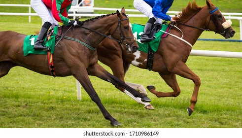 Close up on two race horses and jockeys competing for position on the track