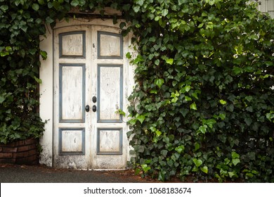 Gate Hedge Images Stock Photos Vectors Shutterstock