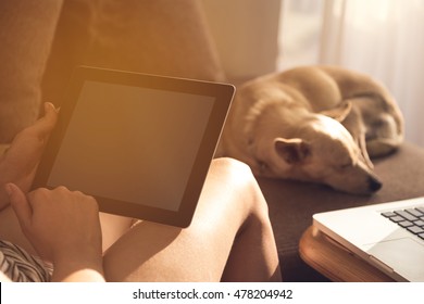 Close up on woman hands holding blank tablet and reading with sleeping dog in the background