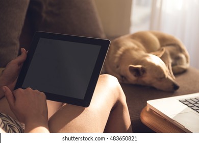 Close Up On Woman Hands Holding Blank Tablet And Reading With Sleeping Dog In The Background