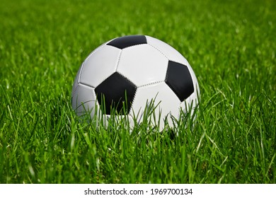 Close Up One Black And White Football Ball In Green Grass Of Soccer Turf Field Pitch, Low Angle, Side View