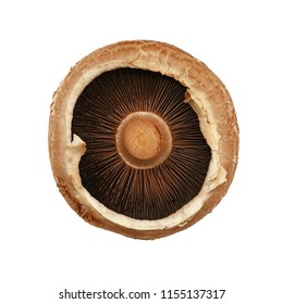 Close up one fresh brown portobello mushroom isolated on white background, elevated top view, directly above - Powered by Shutterstock