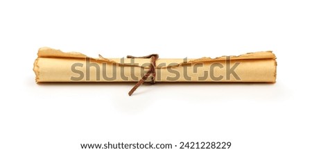 Close up one rolled blank old antique vintage brown paper parchment scroll isolated on white background