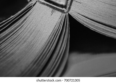 Close up of an open book faced down
