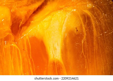 Close up of the orange glowing flesh of a Sharon fruit