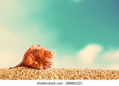 Close Up Of An Orange Helical Seashell On Golden Sand On A Tropical Beach Against A Cloudy Blue Summer Sky Taken Low Angle With The Shell On The Skyline