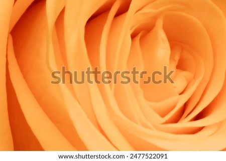Similar – Image, Stock Photo flower spiral pink