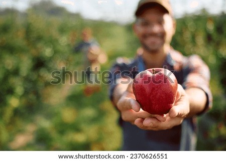 Similar – Foto Bild Äpfel von Hand vom Ast pflücken