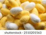 Close up of organic Beautiful yellow color Cocoons. silkworm many silk worm yellow