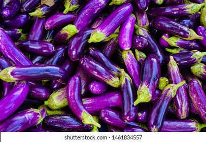 Close Up Organic Long Purple Aubergine Or Eggplant (Solanum Melongena) In The Market. 