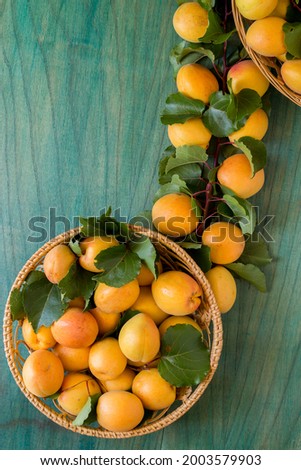 Image, Stock Photo Ripe apricots Fruit