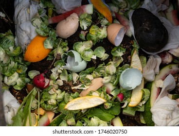 Close Up Of Outdoor Compost Bin With Food Scraps And Paper