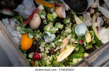 Close Up Of Outdoor Compost Bin With Food Scraps And Paper