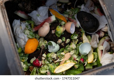 Close Up Of Outdoor Compost Bin With Food Scraps And Paper