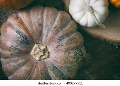 Close up overhead shot of a large colorful fairytale pumpkin and small white pumpkin. Low key image. 