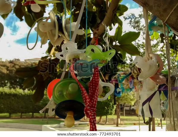 Close up of pacifier tree in park in city of Modiin,\
israel - where parents tie pacifiers to help kids say goodbye to\
pacifiers for last time, leave them behind and give up the habit of\
using them 