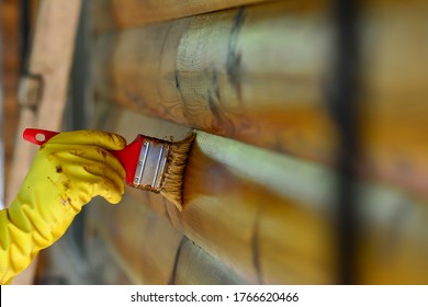 Close Up Paintbrush In Hand And Painting On The Wooden House. Painting Woodwork Outside. Hand Holding A Brush Applying Varnish Paint On A Wooden Surface.