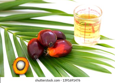 Close Up Of Palm Oil Fruits With Cooking Oil And Palm Leaf Isolated On White Background, Thailand.