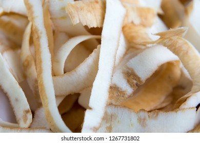 Close Up Of Parsnip Peeing Waste